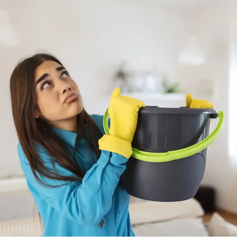water damage restoration service Clearwater